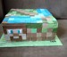 Minecraft bok
